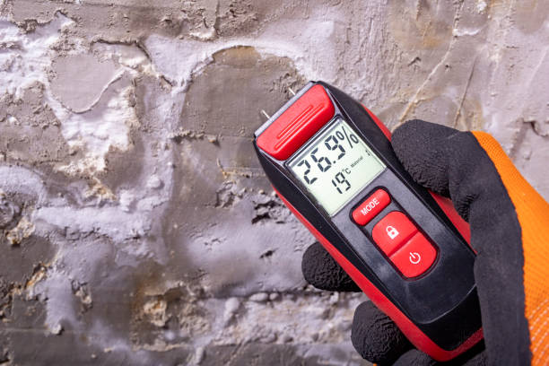 Best Mold Testing  in Ten Mile Run, NJ