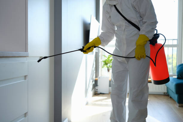 Best Home Mold Removal  in Ten Mile Run, NJ