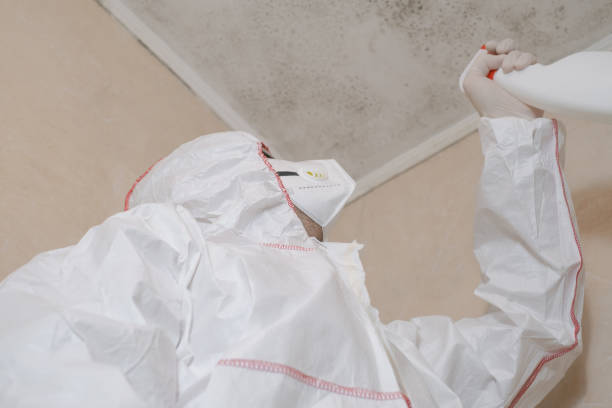 Best Professional Mold Removal  in Ten Mile Run, NJ