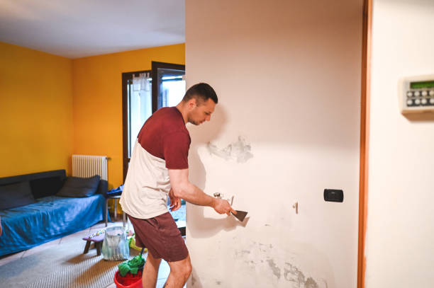 Best Mold Damage Repair  in Ten Mile Run, NJ